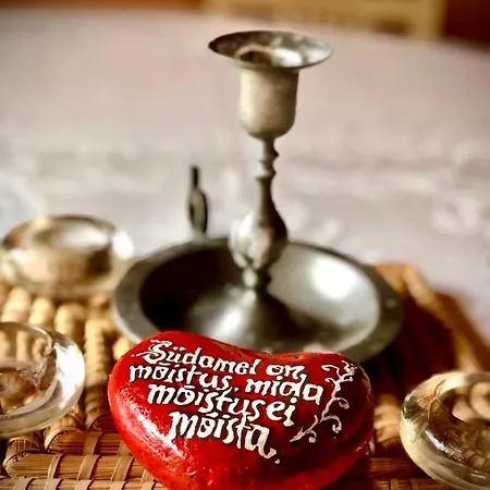 Kibuvitsa House Willa *