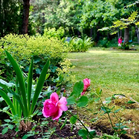 Kibuvitsa House Willa *