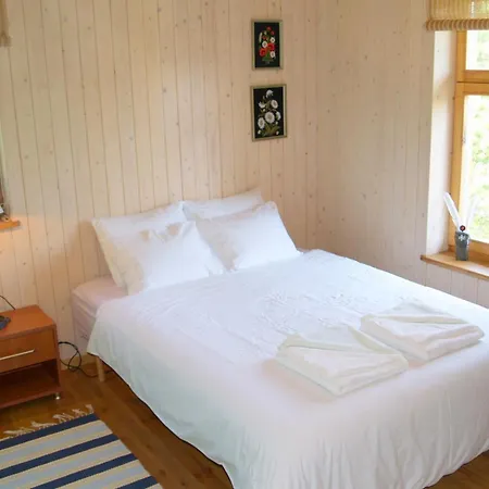 Kibuvitsa House Willa