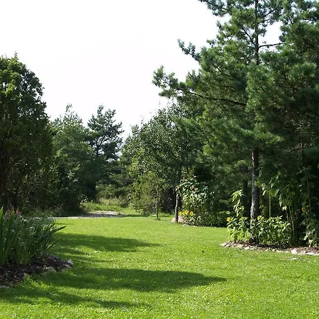 Kibuvitsa House Willa