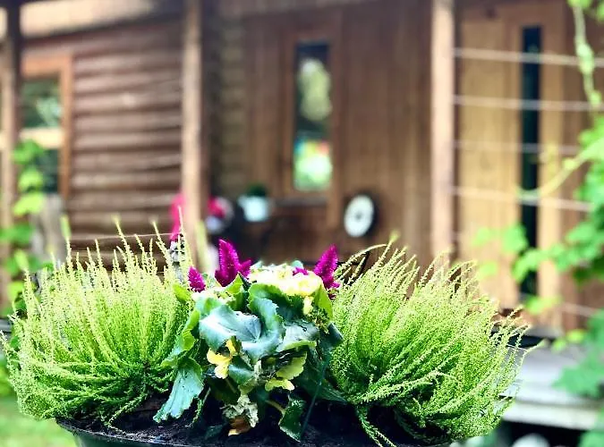 Kibuvitsa House ヴィラ Muratsi