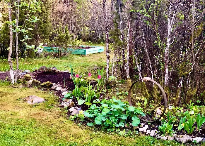 Kibuvitsa House ヴィラ Muratsi