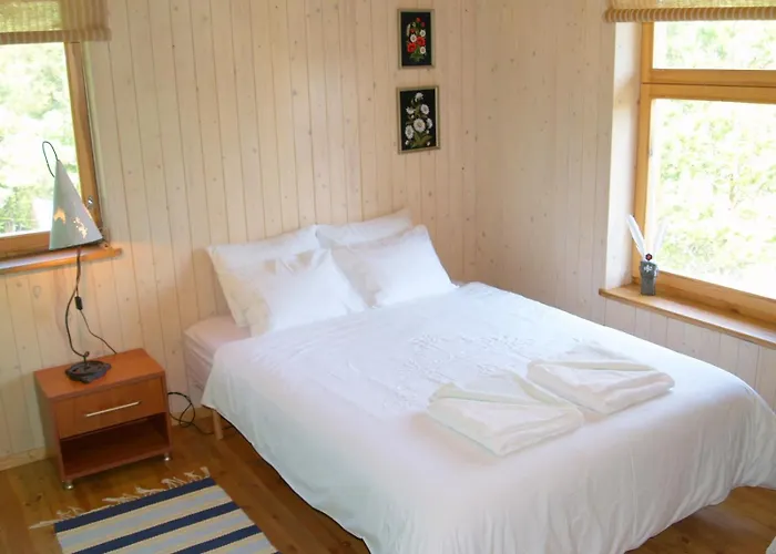 Kibuvitsa House Willa