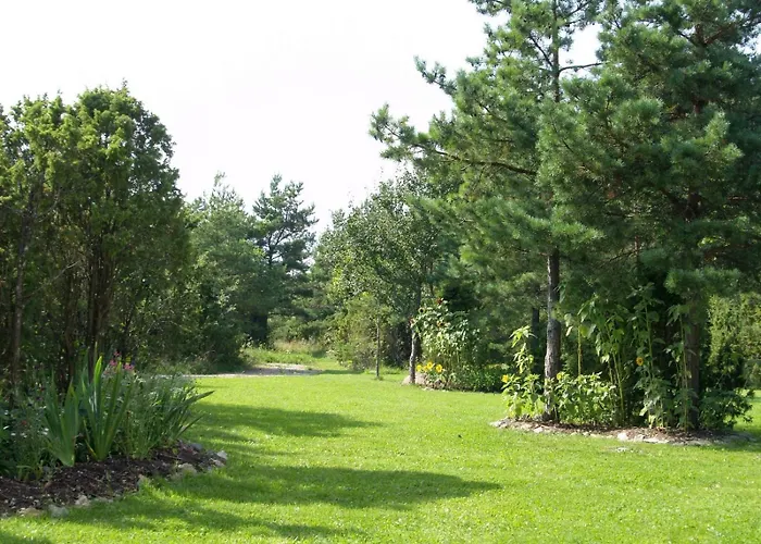 Kibuvitsa House Willa