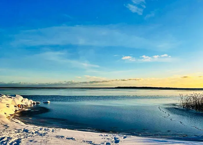 ヴィラ Kibuvitsa House Muratsi