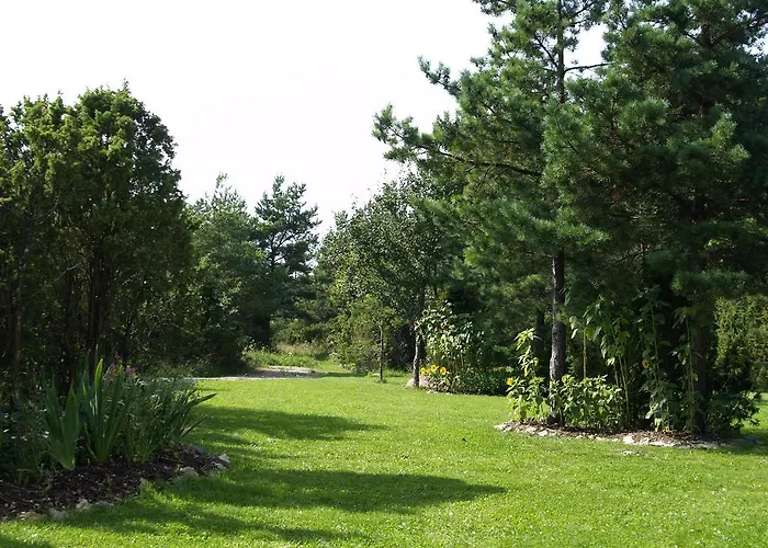 Kibuvitsa House Willa